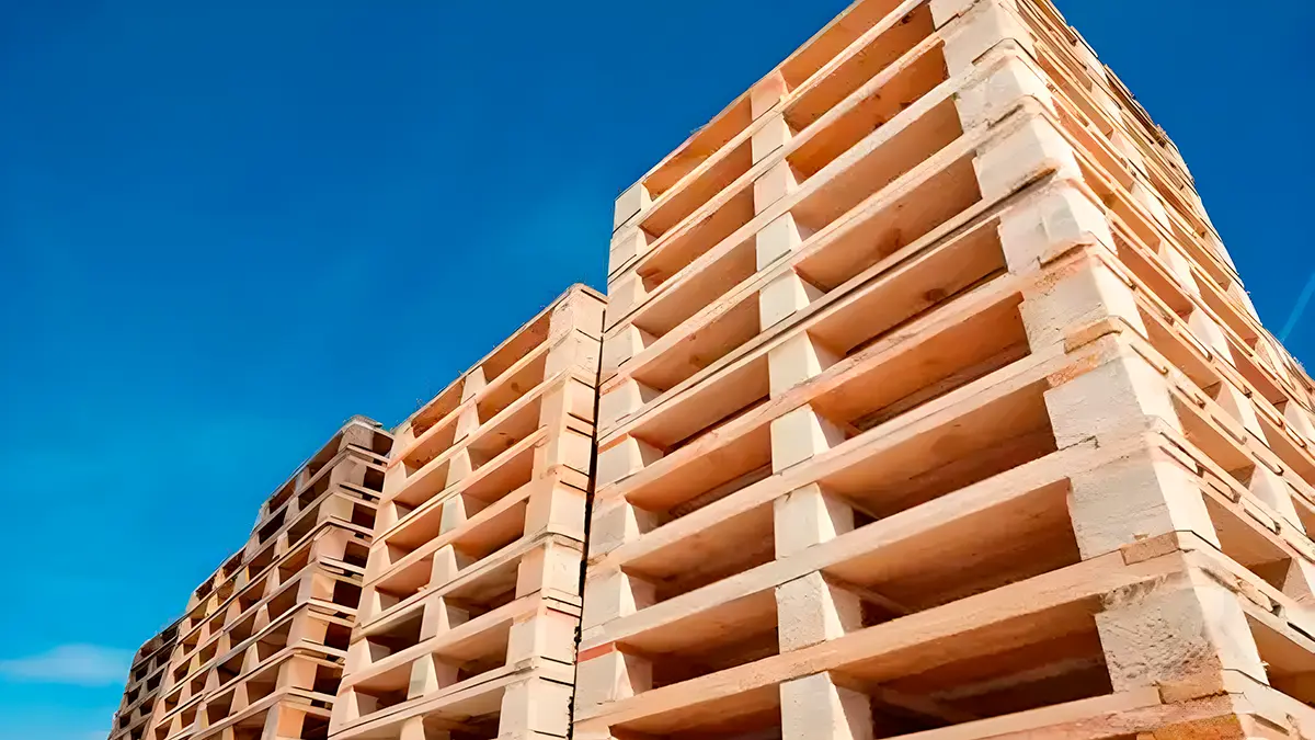 ¿Que es un Pallet? - T&G Comercial Tunqui