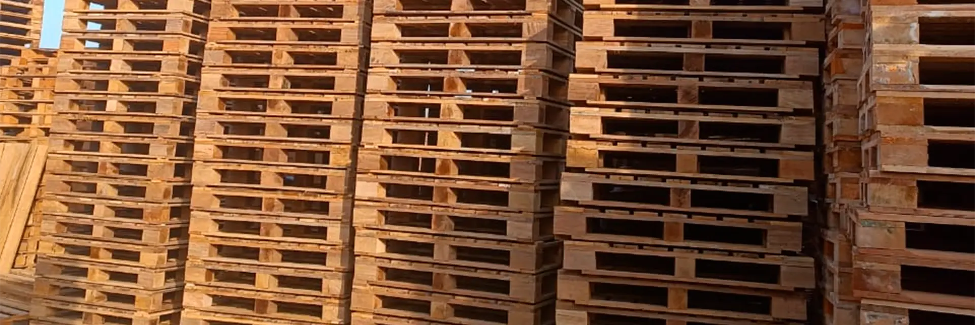 Pallets en Amacen